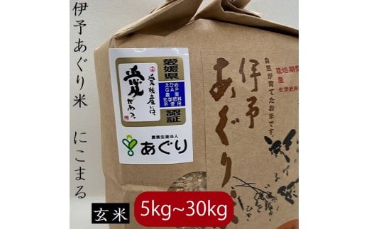 【選べるキロ数】米 玄米 10kg 伊予あぐり米「にこまる」 令和7年産 米 農薬・化学肥料不使用 米 玄米 令和7年産 米 お米 こめ 農薬・化学肥料不使用 こだわりのお米 愛媛県 松前町 松前 まさき 愛媛 えひめ おこめ 有限会社あぐり 愛媛県産米 松前町産米 美味しいお米   お米 贈答 贈り物 愛媛県 松前町 有限会社あぐり