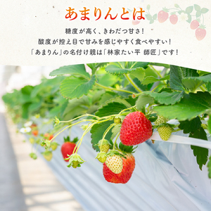 【 予約受付 】 いちご あまりん 1.12kg (280g×4P) 苺 イチゴ ストロベリー 産地直送 ご当地 果物 くだもの フルーツ デザート ふるさと納税3.0 食品 冷蔵 げんき農場 埼玉県