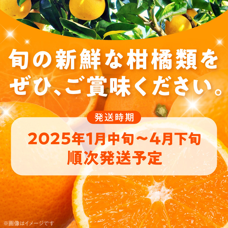 AB7204_（旬の美味）（みかん名産地和歌山有田）有田育ちの旬の ご家庭　旬の柑橘 詰め合わせセット 4.5kg（訳あり）_イメージ4