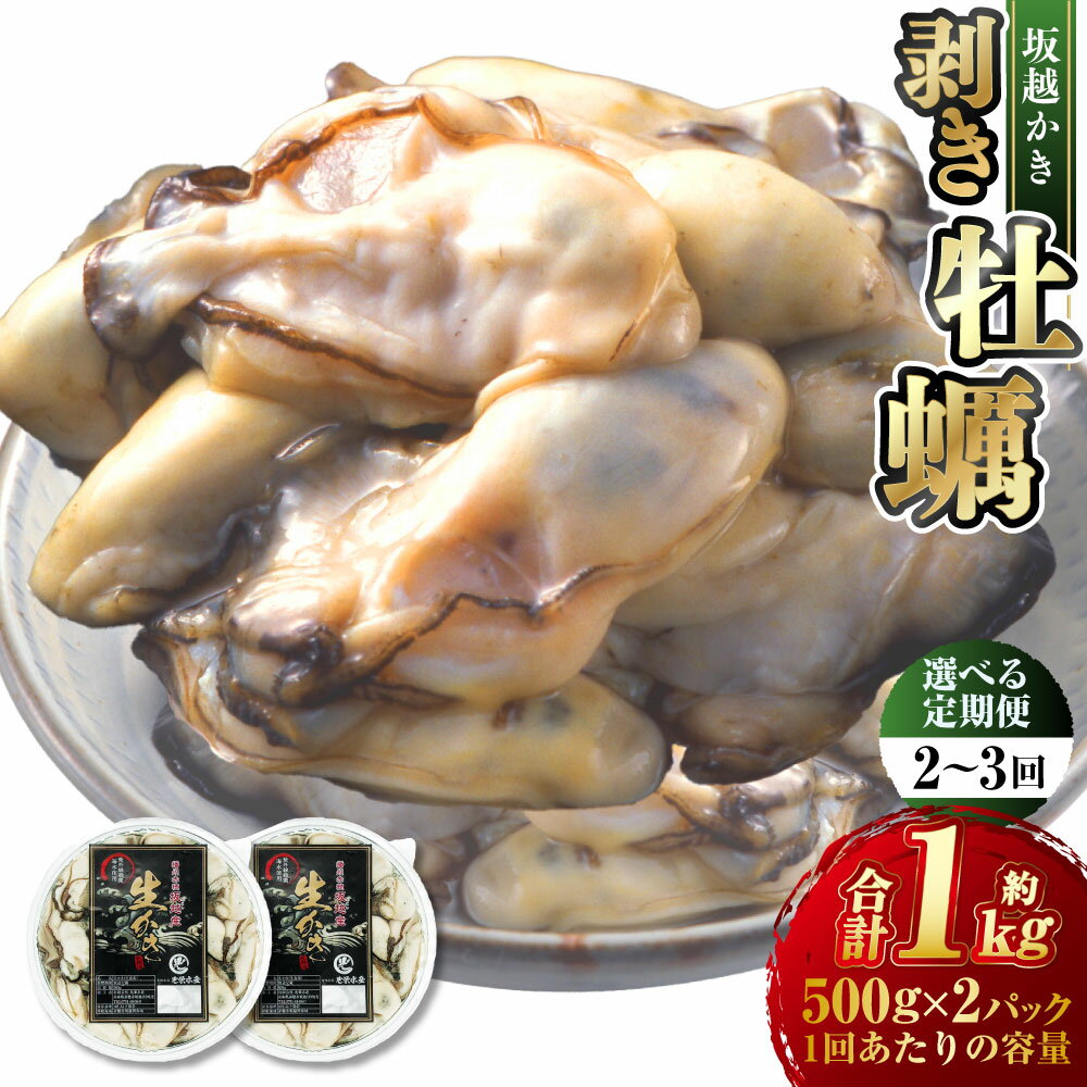 【ふるさと納税】【選べる定期便】牡蠣 坂越かき 剥き牡蠣 約500g×2パック（計約1kg） 〈定期便 2回・3回〉 ／ かき カキ オイスター 生牡蠣 生カキ 生ガキ 生がき 剥き身 魚介 貝 生食 瀬戸内海 兵庫県 赤穂市 冷蔵 送料無料【2026年1月上旬～3月下旬発送予定】