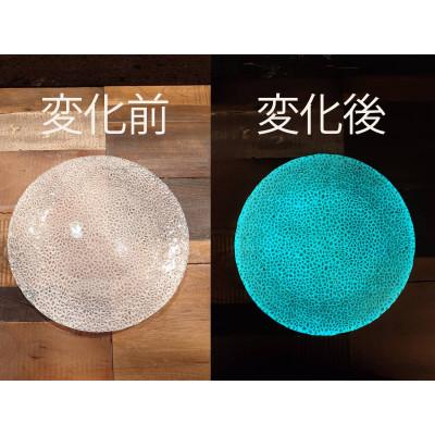 ふるさと納税 多治見市 【暗闇に輝く、卓上の新たな魔法】ルミナスシリーズ プレート (小) グリーン