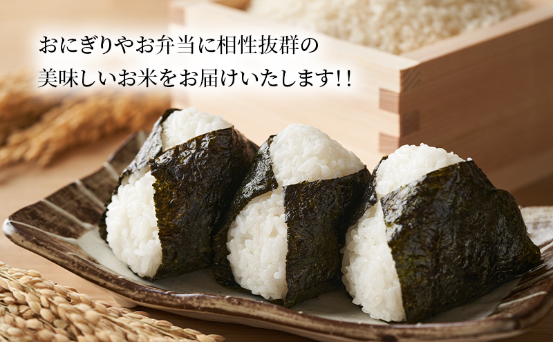 米 令和6年産 ななつぼし 10kg 5kg×2袋 宮田農園 精米 白米 お米 おこめ コメ ご飯 ごはん バランス 甘み おにぎり お弁当 酢飯 冷めてもおいしい 北海道米 北海道 芦別市