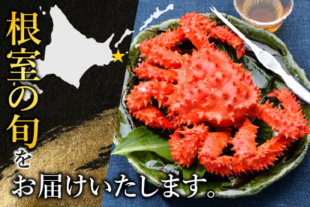 【北海道根室産】ボイル花咲かに3～6尾(計約2kg) B-42088