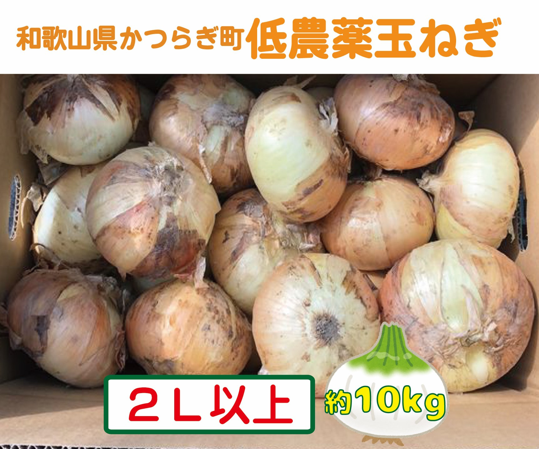 
            【2026年発送分・先行予約】農家さん直送　低農薬玉ねぎ2Lサイズ以上　約10kg【2026年4月中旬～7月中旬発送予定】
          