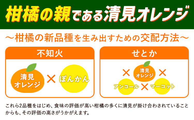 ＜先行予約＞とにかくジューシー 清見 オレンジ 2.5kg 株式会社魚鶴商店《2026年3月下旬-4月中旬頃出荷》和歌山県 日高町 柑橘 果物 フルーツ 清見オレンジ(f)