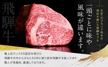 【12月配送】A5等級 飛騨牛と飛騨豚の 手ごね ハンバーグ140ｇ6個 | 年内発送 ひき肉 あらびき肉 肉汁 手作り 絶品 10000円 株式会社岩ト屋 HF043VC12