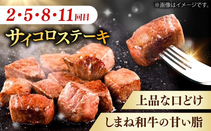 牛肉 定期便 シャトーブリアン サイコロステーキ サーロインステーキ