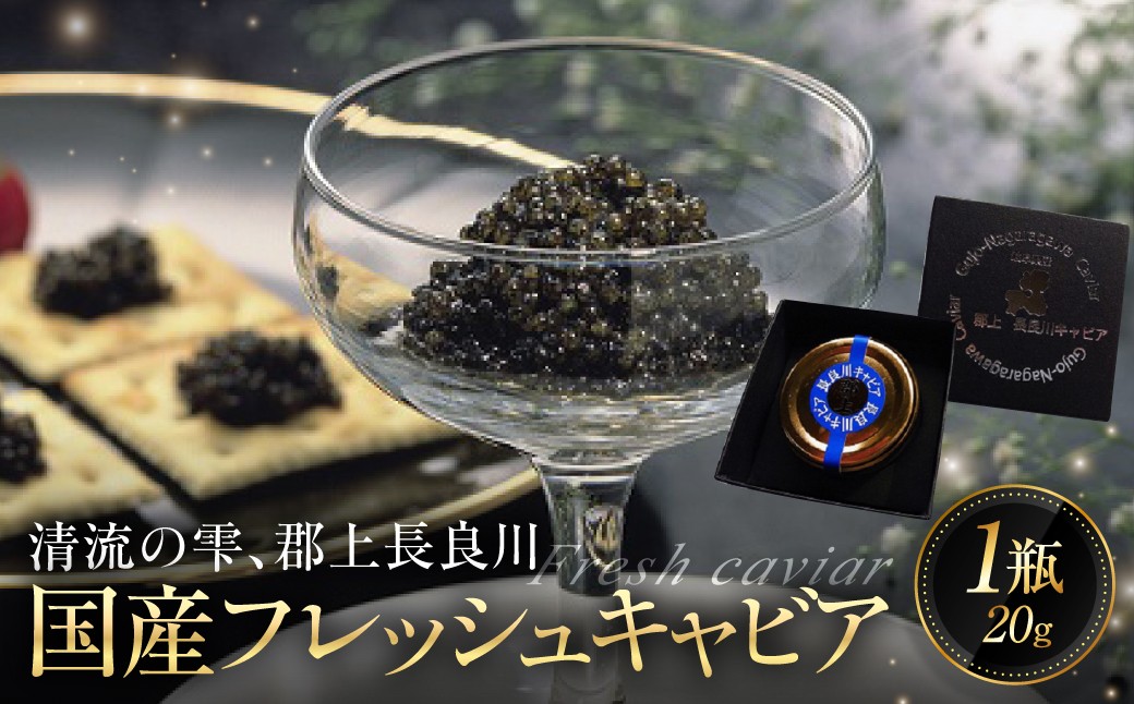 
                  【D-22】郡上・長良川キャビア 食品  魚介類 水産加工品  魚卵  キャビア
                