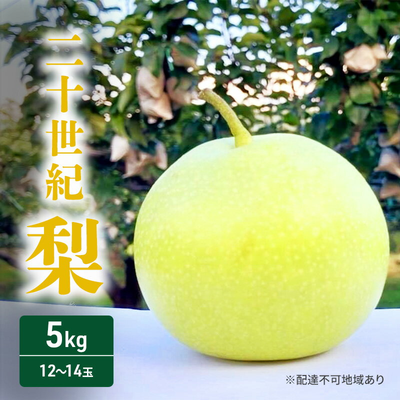 【ふるさと納税】梨 2025年 先行予約 二十世紀梨 5kg 12～14玉 果物 なし 広島県 安芸高田市　お届け：2025年9月10日～2025年9月20日頃
