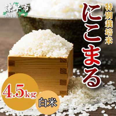 ふるさと納税 諫早市 【令和7年産】特別栽培米・九州のこだわり米「にこまる」白米4.5kg |  | 01