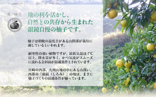 「銀の柚子」生ゆずまるごと搾りセット かぐらの里＜2.4-5＞