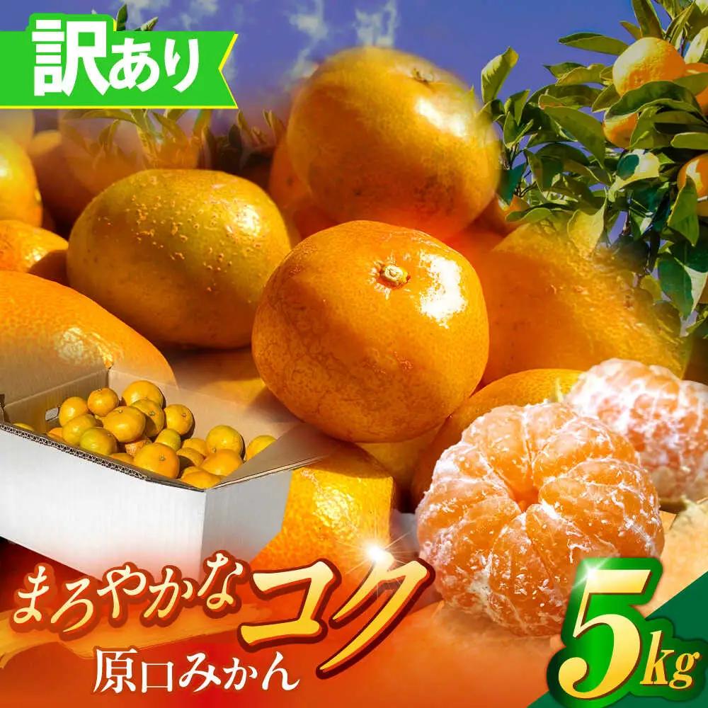 訳ありみかん 5kg 原口みかん[OBP002] 訳あり みかん