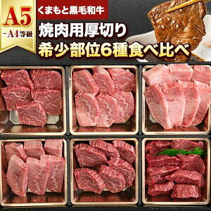 【ふるさと納税】 牛肉 焼肉 焼き肉 食べ比べ 小分け A4 A5 くまもと黒毛和牛 焼き肉セット 牛 赤身 ヒレ フィレ サーロイン リブロース 上カルビ 希少部位 500g 焼き肉 牛肉 焼肉用 冷凍 黒毛和牛 送料無料 《7-14日以内に出荷予定(土日祝除く)》