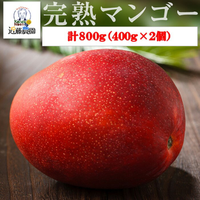 【ふるさと納税】【季節限定】特選贈答完熟マンゴー 800g（400g×2個）(M-1) 7月下旬以降発送 BS-515 季節限定 完熟マンゴー 贈答 特選マンゴー 鹿児島県 薩摩川内市 送料無料