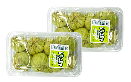 収穫から24時間以内に発送！ほろ苦い春の味わい「ふきのとう」Lサイズ200g（約16個） F21T-348