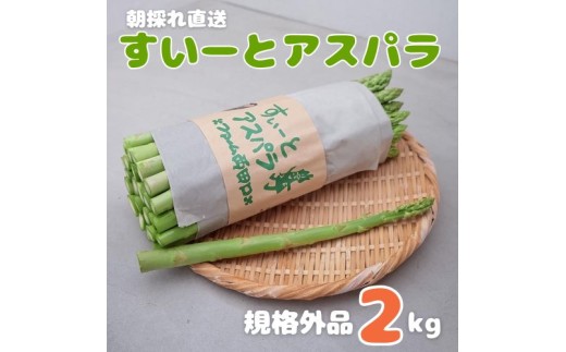 【予約商品】朝採れ直送 すいーとアスパラ（規格外品） 2kg【配送時期:4月上旬～10月上旬】