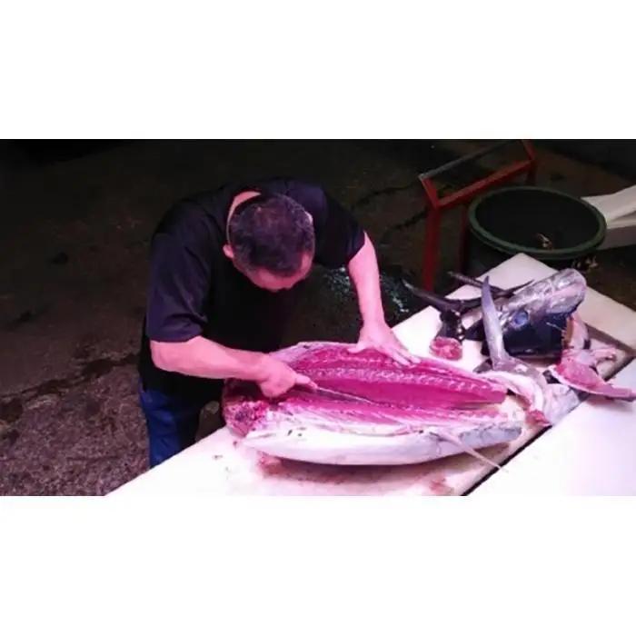 【定期便全5回】生まぐろ 約600g まぐろ