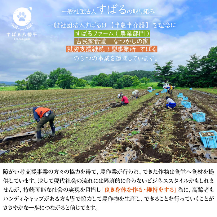 オーガニックにんにく 八幡平バイオレット 1kg ／ ニンニク 大蒜 野菜 産地直送 すばるファーム