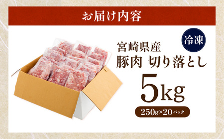 宮崎県産豚肉切り落とし(250g×20 計5kg)【豚肉 豚肉切り落とし 宮崎県産豚肉 小分け】