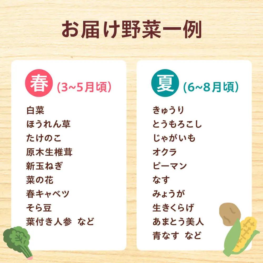 【全12回】高槻野菜 おまかせ詰め合わせ定期便 （10種〜15種）[AOCS021]野菜