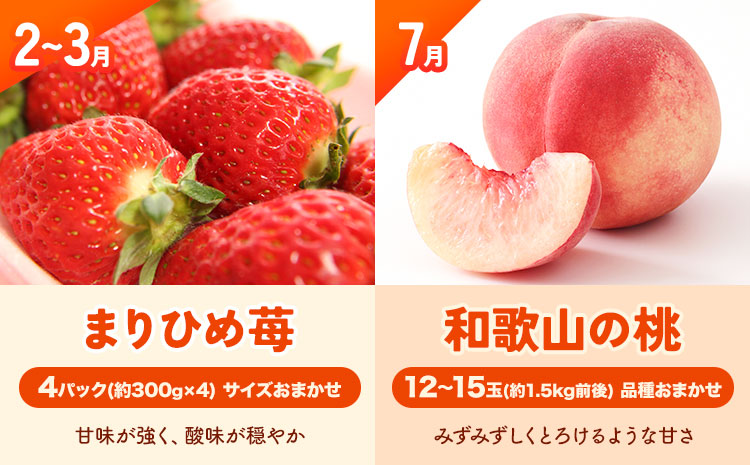 わかやま旬の フルーツ 定期便 【全4回】内容量 L 有田マルシェ《発送月固定・全4回出荷》 和歌山県 日高町 苺 いちご 柑橘 オレンジ 小玉 みかん 有田 みかん たねなし柿 柿 桃 モモ もも 