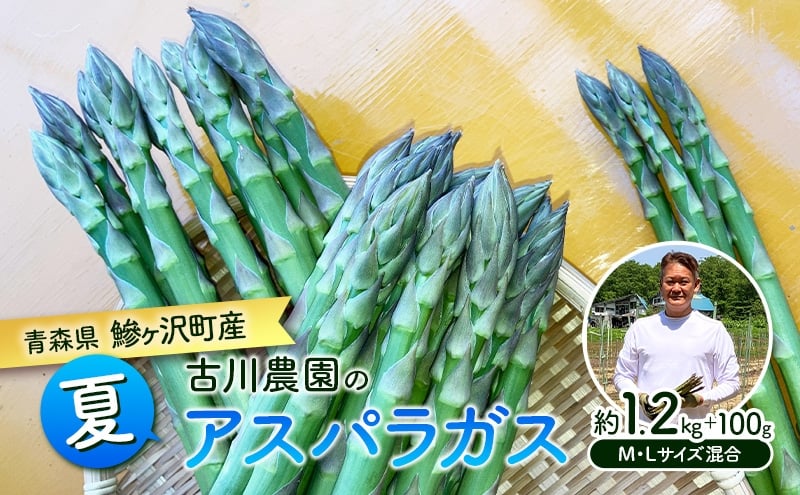 
            夏アスパラガス 約1.2kg ＋100g M～L 混合 古川農園 ※オンライン決済限定 野菜 アスパラガス アスパラ 栄養豊富 ほんのり甘い 肉質しっかり あっさりとした食味  おつまみ 料理 お弁当 食材
          