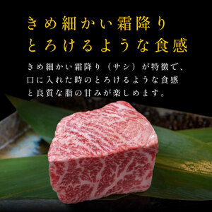 〈スピード出荷〉但馬牛 シャトーブリアン 《150g×4枚 600g 》 シャトーブリアン  MSK008
