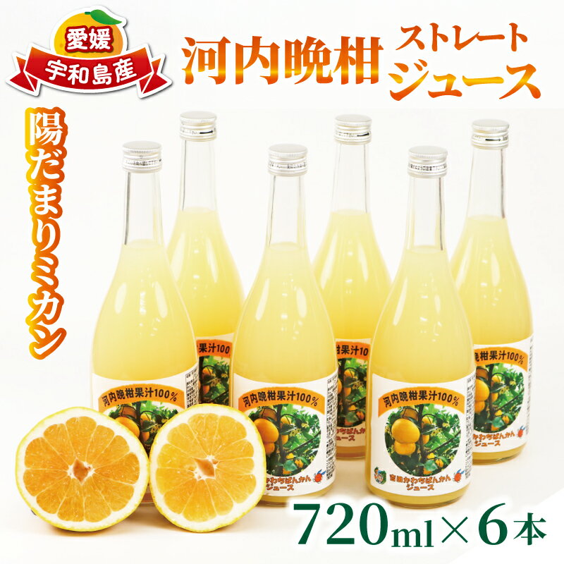 【ふるさと納税】 河内晩柑 ストレートジュース 720ml × 6本 陽だまりミカン みかんジュース みかん 蜜柑 mikan フルーツ ジュース 果汁 100% 焼酎割り ソーダ割り 家呑み 飲料 果物 くだもの 国産 愛媛 宇和島 H024-050009