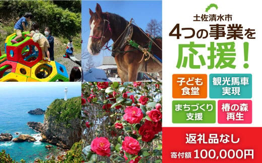 一括寄附で4つの事業を応援！返礼品なし 100,000円（子ども食堂・観光馬車実現・椿の森再生・まちづくり支援）10万円 子供 子育て 福祉 動物保護 自然保護 環境整備 教育 自然【R01226】