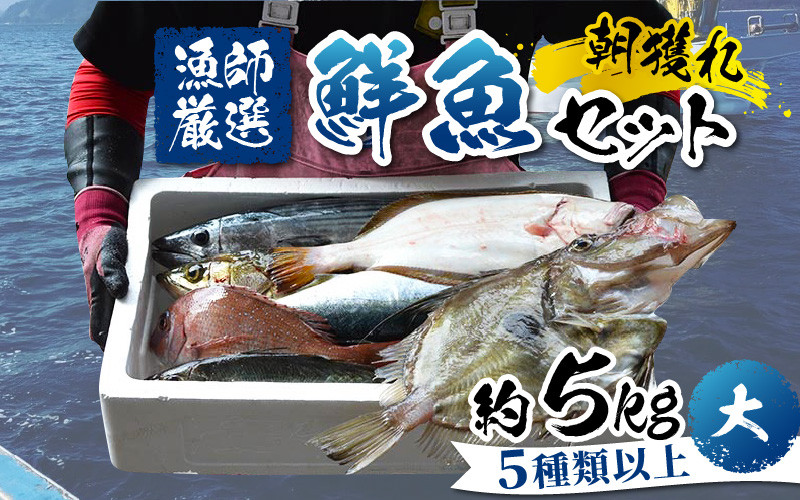 
            【先行予約】【朝獲り】漁師厳選 鮮魚セット (大) 5種類以上 約5kg 【2026年4月以降発送再開】魚 詰め合わせ  鮮魚ボックス  直送  鮮魚 新鮮 煮物 焼き物 お造り 刺身 晩酌 食卓 BBQ 急速冷凍 真空パック 鮮魚セット 詰合せ 鮮魚店 厳選 お任せ 鮮度 産直 海鮮 加熱用 福井県 南越前町 越前 盛り合わせ おまかせ お楽しみ  送料無料  さへい 河野 越前 北陸
          