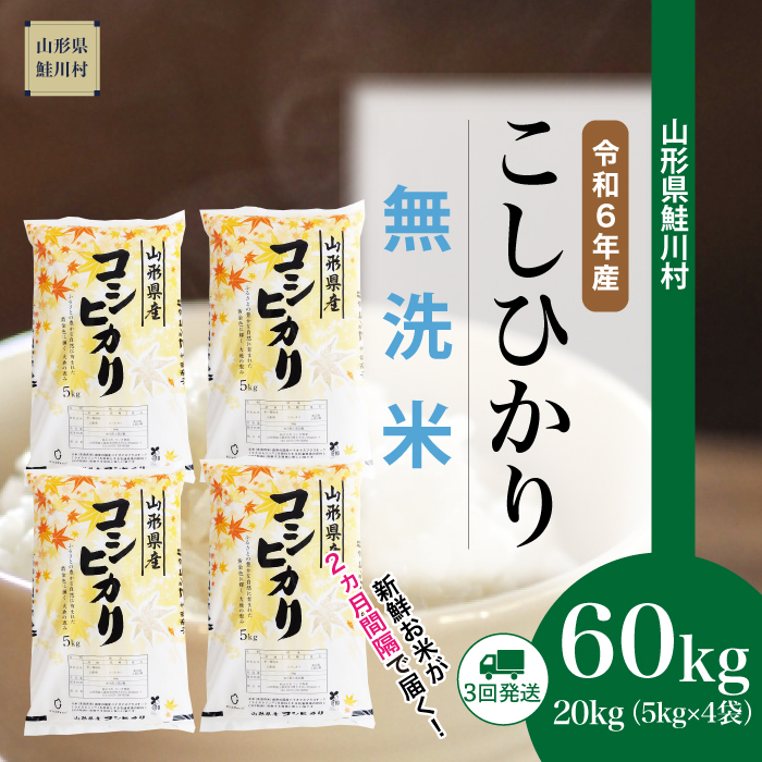 ＜令和6年産米 配送時期指定できます！＞　コシヒカリ【無洗米】60kg定期便(20kg×3回)　鮭川村