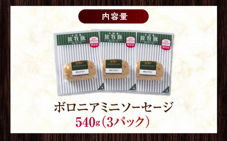 放牧豚 ボロニアミニソーセージ 計540g（180g×3）《厚真町》　【ファーマーズファクトリー株式会社】[AXBA106]