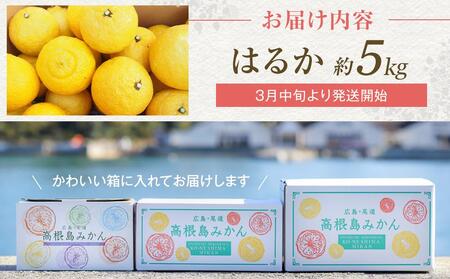 爽やかな甘さのはるか　4.5ｋｇ　＜2026年2月下旬より発送開始＞【みかん 柑橘 広島県 尾道市】
