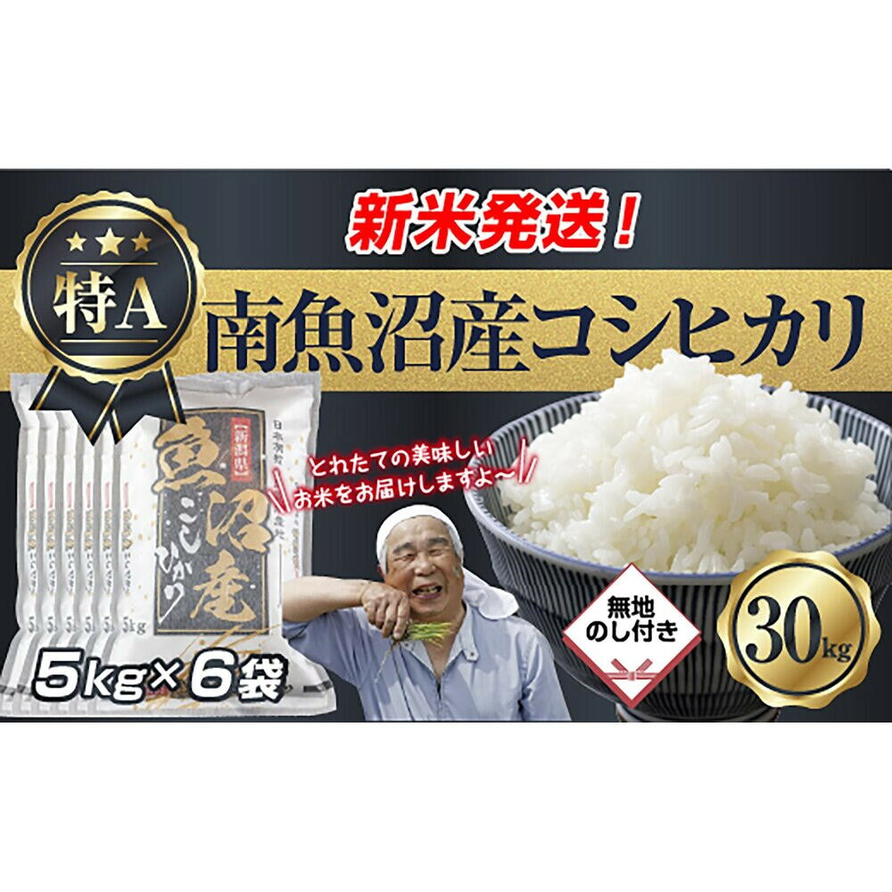 【ふるさと納税】【令和8年産　新米予約】「無地のし」 新潟県 南魚沼産 コシヒカリ お米 5kg×6袋 計 30kg 精米済み（お米の美味しい炊き方ガイド付き） お米 こめ 白米 こしひかり 食品 人気 おすすめ 魚沼 南魚沼 南魚沼市【2026年10月中旬より1ヶ月以内に順次発送予定】