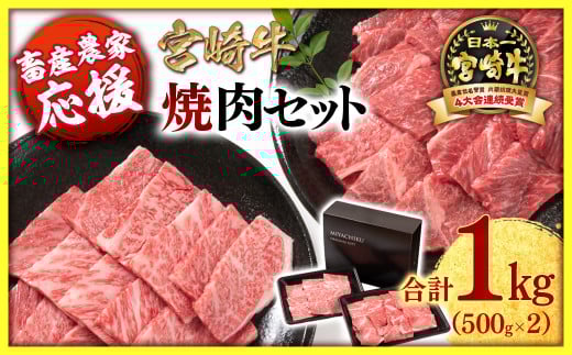 11月発送【畜産農家応援】宮崎牛 赤身＆肩ロース 食べ比べ焼肉セット１kg  （500g ×2）4等級以上 ミヤチク 内閣総理大臣賞4連覇＜1.7-40＞牛肉 赤身 焼肉●