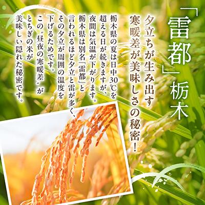 ふるさと納税 さくら市 【令和7年産新米】 特A とちぎの星 精米 5kg 栃木県産 令和大嘗祭献上 の お米 |  | 03