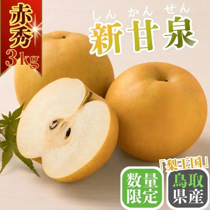Y1010 【2027年発送分先行受付】新甘泉(赤秀) 3kg