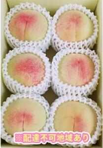 くぼ農園 白桃 セレクション 約1.5kg｜フルーツ 果物 くだもの もも モモ 桃 白桃 食品 人気 おすすめ 送料無料 ギフト 贈り物 贈答品 プレゼント 果物 もも モモ 桃 国産 岡山県産 岡山 もも モモ 桃 白桃