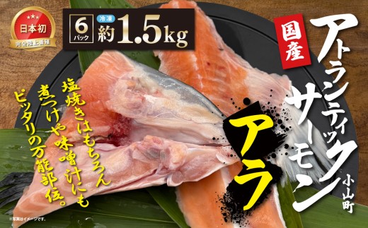 日本初 完全陸上養殖 静岡県小山町産 アトランティックサーモン 冷凍 アラ6パック 約1.5kg | サーモン さーもん 小分け 真空パック 鮭 養殖 国産 大容量 静岡県 小山町