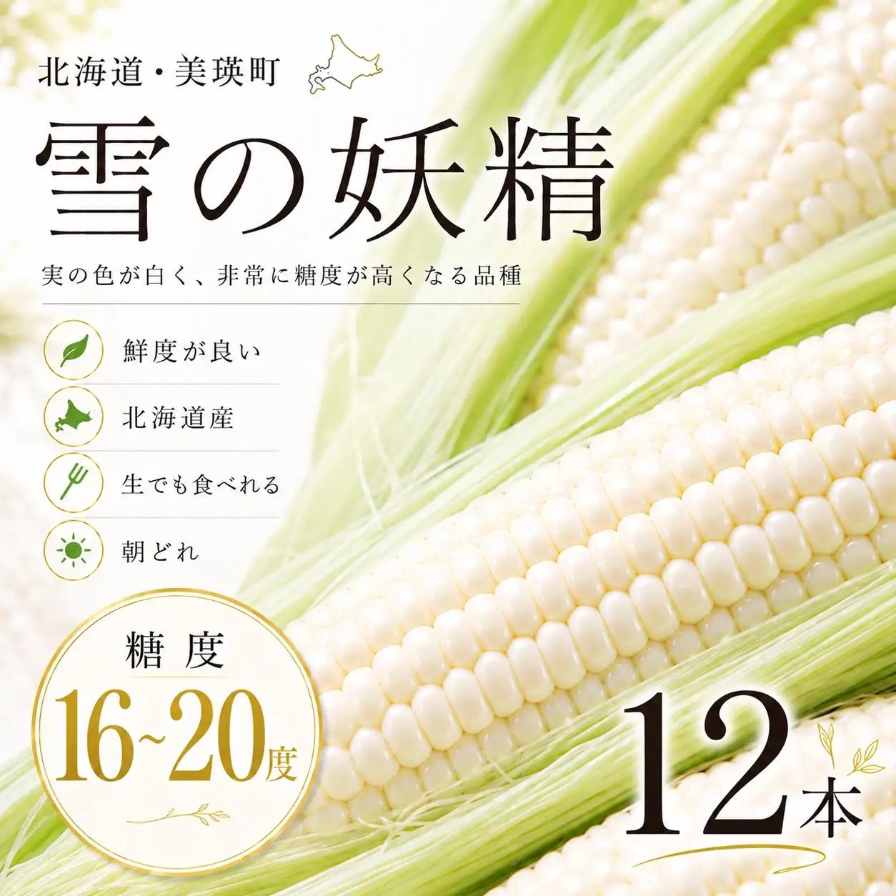 とうもろこし 12本 北海道 とうもろこし 【先行予約】