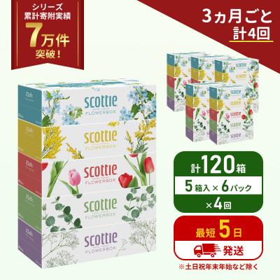 ふるさと納税 岩沼市 定期便 ティッシュ スコッティ 120箱 (5箱×6P)《計4 回》[No.5704-1137]