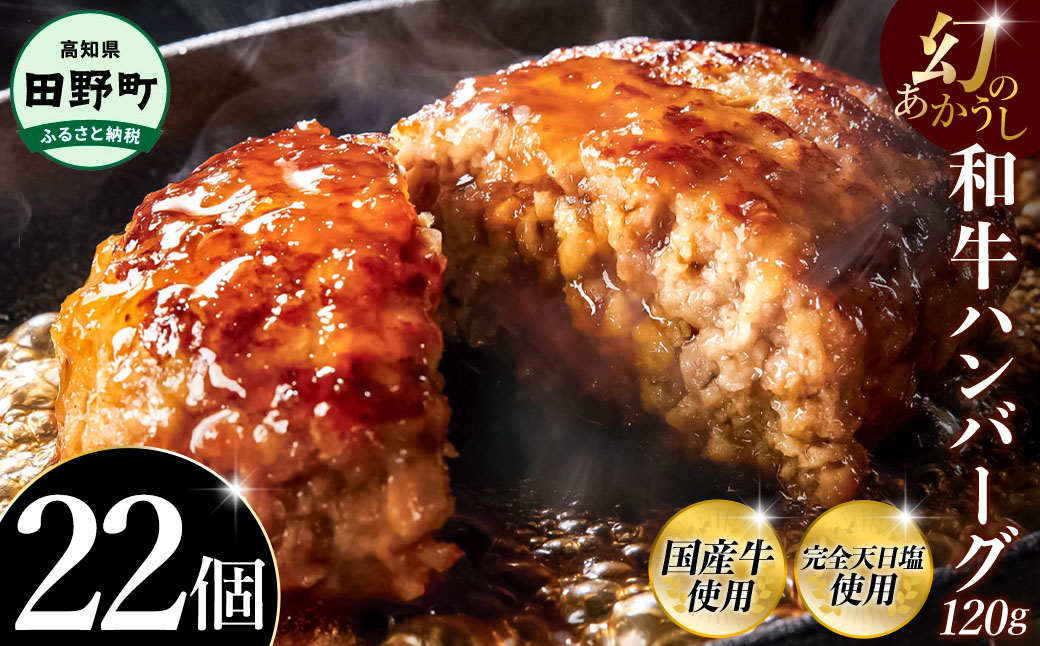 幻のあかうし和牛ハンバーグ 22個入り 1個120g 田野屋青蜂 白鯆 完全天日塩練り込み 肉 お肉 国産牛 土佐あかうし 四万十ポーク おかず 惣菜 おいしい お取り寄せ 冷凍 配送 高知県 田野町