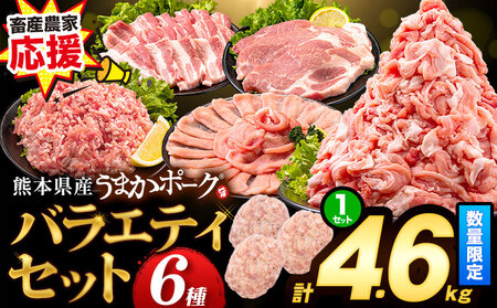 数量限定★生産者応援★ 豚肉 小分け バラエティセット4.6kg うまかポーク《30日以内に出荷予定(土日祝除く)》 豚肉詰め合わせ 国産豚肉 熊本県産豚肉 豚肉名品 豚肉セット