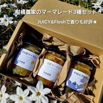 【ふるさと納税】ジューシー&フレッシュで香り好評!相模湾を望む畑より柑橘農家の身体に優しいマーマレード3種セット!【1738159】