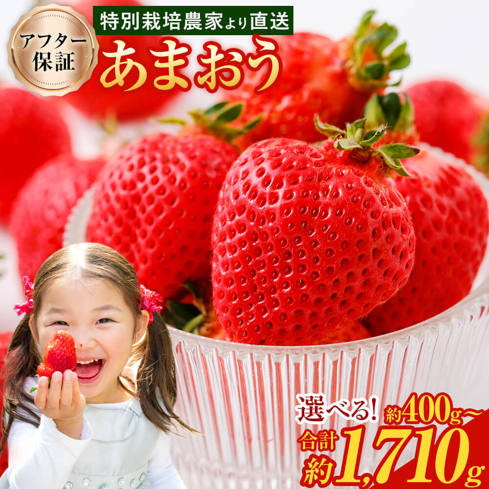 【ふるさと納税】予約 【TVで紹介！】【特別栽培/有機質肥料/アフター保証】 あまおう ＜選べる 種類・容量＞ 約400g～合計約1710g デラックス/エクセレントサイズなど【2025年12月上旬又は2026年1月上旬～4月上旬発送予定】 いちご イチゴ 苺 フルーツ 果物 冷蔵 送料無料