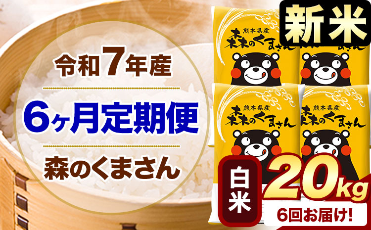 【6ヶ月定期便】新米 令和7年産 白米 森のくまさん 20kg 5kg×4袋 《お申込み翌月から出荷》 熊本県産 白米 精米 米 こめ コメ お米 kome---mifune_lcl_1076_mo6---