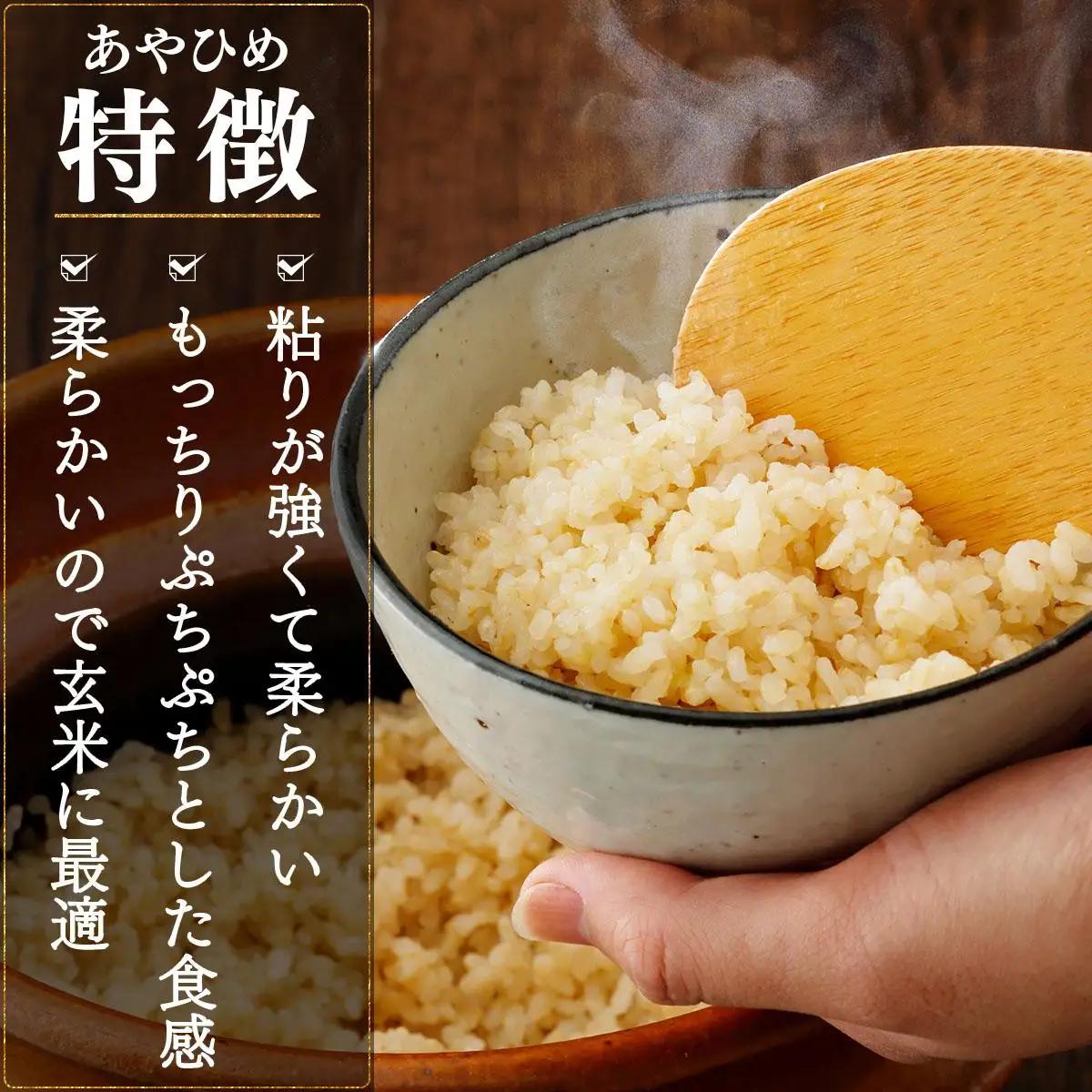 令和7年産 北海道岩見沢市産 あやひめ玄米 10kg ≪沖縄・離島配送不可≫ a124-037-R7