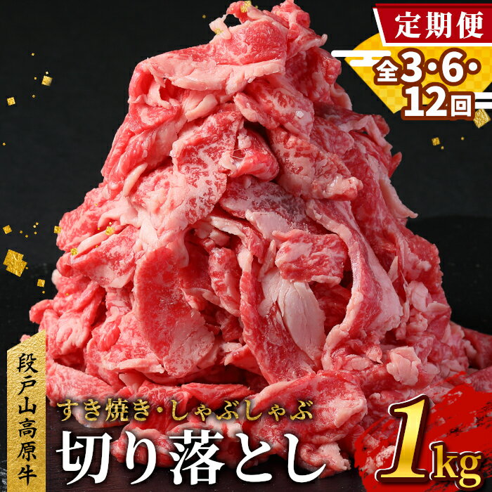 【ふるさと納税】〈選べる回数！定期便〉 国産牛 切り落とし 1パック200g 小分け 段戸山高原牛 幻の牛 国産 牛肉 牛 スライス 地域 限定 小分け 大満足 赤身 肉 数量限定 肉 牛肉切り落とし 牛切り落とし -230