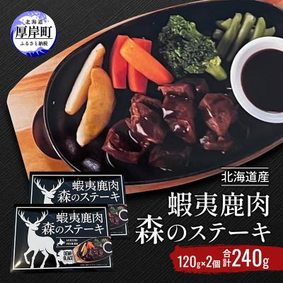 ふるさと納税 厚岸町 北海道産 蝦夷鹿肉 森のステーキ 120g×2個 (合計240g)