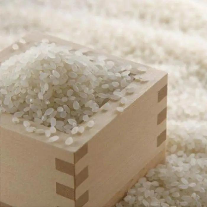 五ツ星お米マイスター監修　食べ比べセット　1kg×4銘柄（鳥取県産） 米